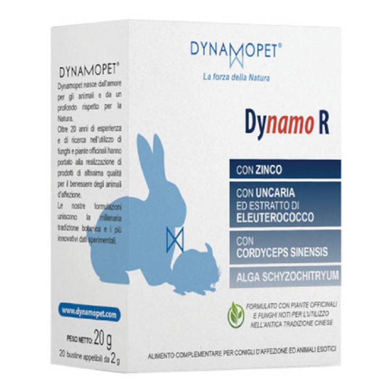 DYNAMO R 20BUST 2G